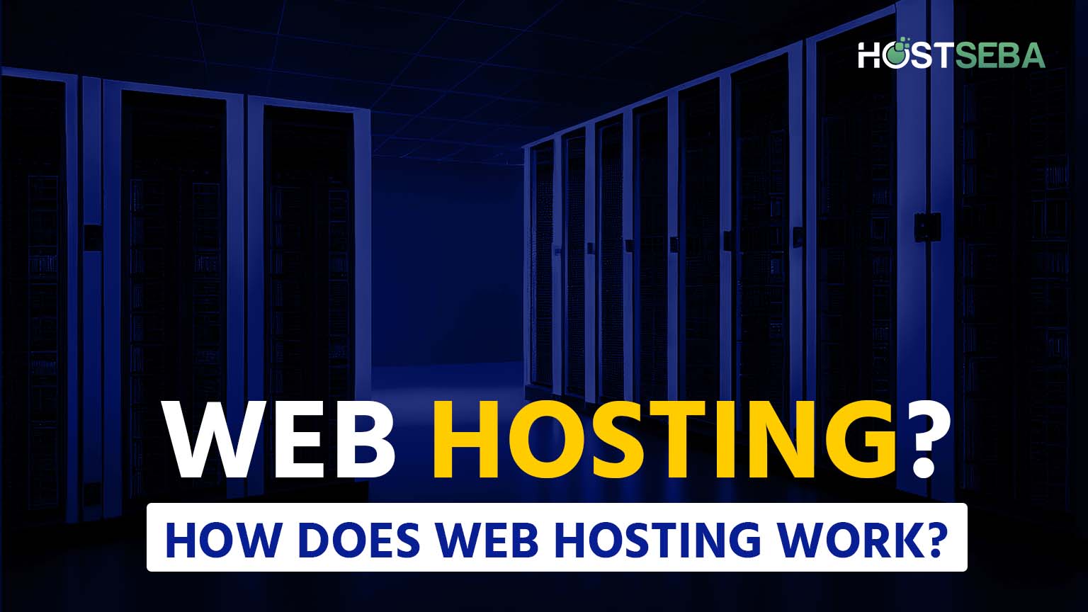 What is web hosting ? How Does Web Hosting Work? - HostSeba